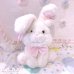 画像1: Sit White Bunny (1)