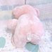 画像4: Pink Dot Bear  (4)