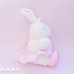 画像3: Ballerina Satin Bunny