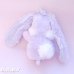 画像6: Laveder Dot Charming Bunny