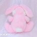 画像4: Hechamuakure Pink Bunny (4)