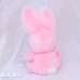 画像4: Penny Pink Bunny