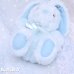 画像3: Lop-Eared Blue Mini Bunny