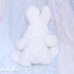 画像4: Pretty White Bunny