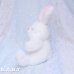 画像5: Pretty White Bunny