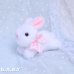 画像1: Hopping Mini Bunny (1)