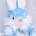 画像2: Dye Blue Bunny (2)