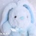 画像2: Lop-Eared Blue Mini Bunny (2)