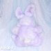 画像5: Dye Purple Bunny