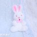 画像1: Red-Eyes Mini Bunny  (1)