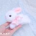 画像5: Hopping Mini Bunny