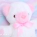 画像2: Neonpink × White Ribbon Bear (2)