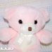 画像2: AMC Best Friends Mini Bear (2)