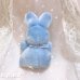 画像4: SOMEBUNNY LOVES ME Blue Mini Buuny