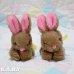 画像3: RUSS Chocolate Mini Bunny