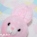 画像3: Twins Pink Dot Bunny