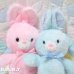 画像6: Twins Pink Dot Bunny