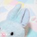 画像5: Twins Blue Dot Bunny