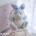 画像11: Rainbow Blue Big Bunny