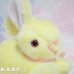 画像4: Smile Lemon Bunny