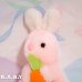 画像2: Carrot Baby Bunny (2)