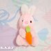 画像1: Carrot Baby Bunny (1)