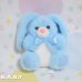 画像1: Blue Dot Mini Bunny (1)