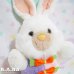 画像2: Playful Carrot Bunny (2)