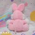 画像4: Rainbow Pink Bunny