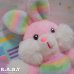 画像6: Rainbow Pink Bunny