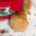 画像4: Christmas Knit Bear