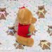 画像5: Christmas Knit Bear