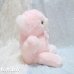 画像3: Bantam Pink Melody Bear