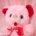 画像2: I LOVE YOU ♡ Be Mine Kitty Bear (2)