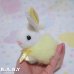 画像11: Dan Dee Egg Bunny / Blue or Yellow