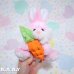 画像6: Carrot Pink Bunny