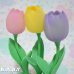 画像6: Easter Bunny Tulip Light