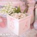 画像9: BABY Ruffle Ribbon Planter