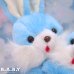 画像3: Hugging Blue Twins Bunny