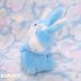 画像4: Hugging Blue Twins Bunny