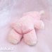 画像5:  Character Novelty Antique Pink Teddy Bear