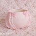画像1: Baby Pink Diaper Planter (1)