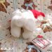 画像5: Merry Christmas Hugging Mini Twins Bear