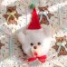 画像2: Christmas Animal Doorknob Cover (2)