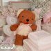 画像7: GUND Cubbi Milk Chocolate Teddy Bear