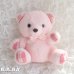 画像1: Plaid Accents Pink Bear (1)