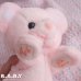 画像4: Pocket Pink Bear