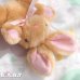 画像5: Honey Pancake Mini Bunny