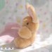 画像3: Honey Pancake Mini Bunny