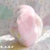 画像4: Pastel Pink Lop-Eared Bunny